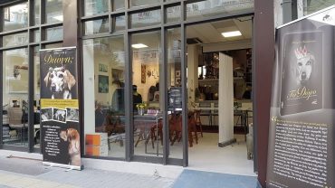 blog-grid