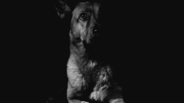 blog-grid